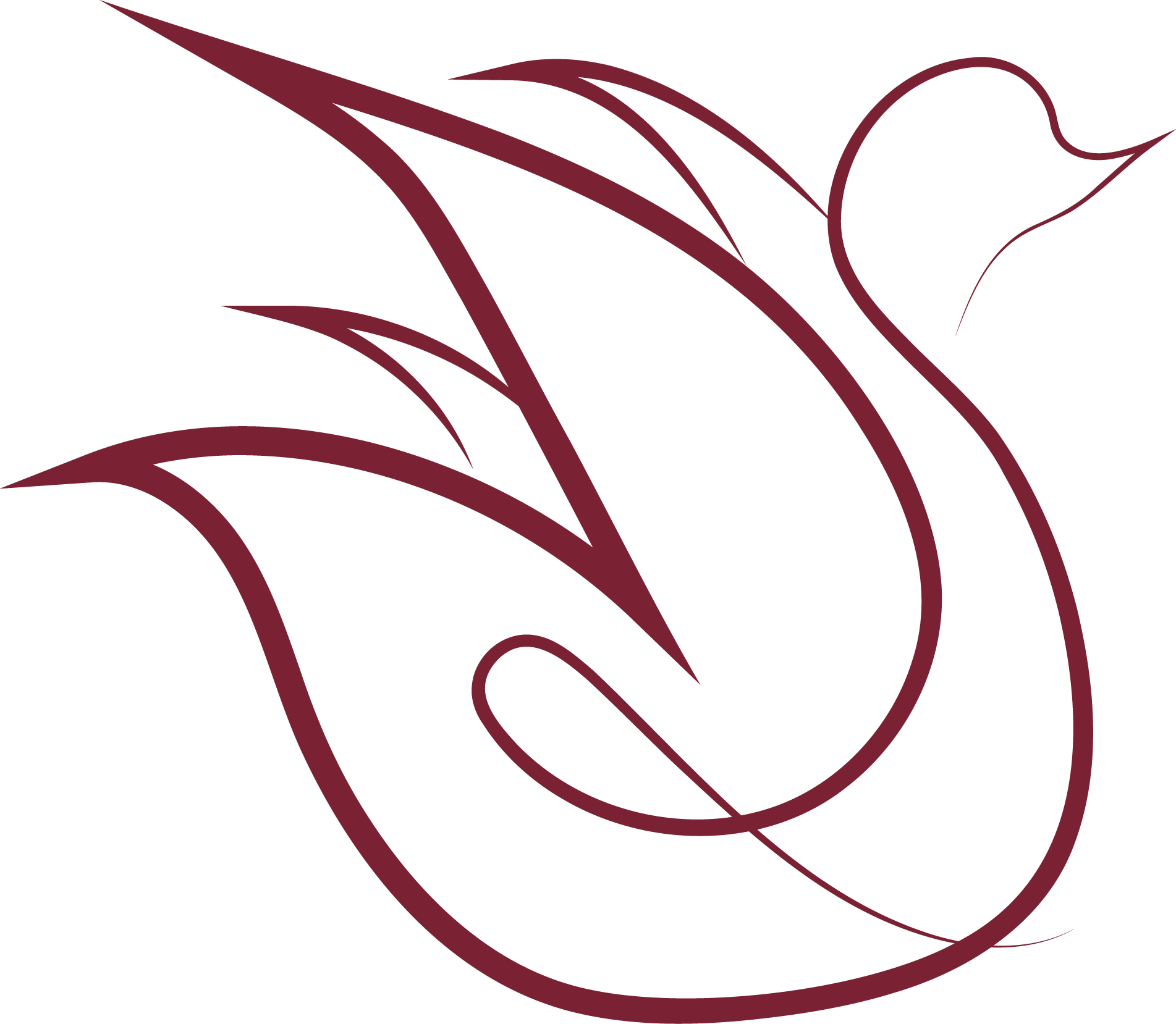 Lidsay Insights